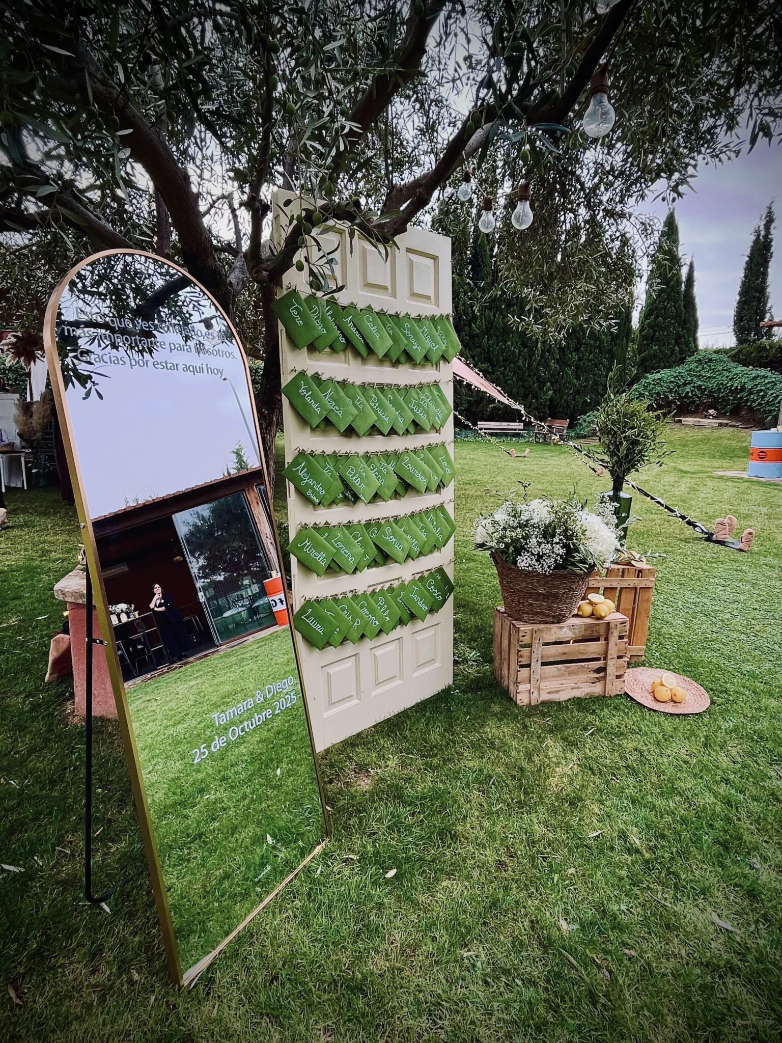 Seating plan de boda con tarjetas verdes bajo un olivo y luces colgantes